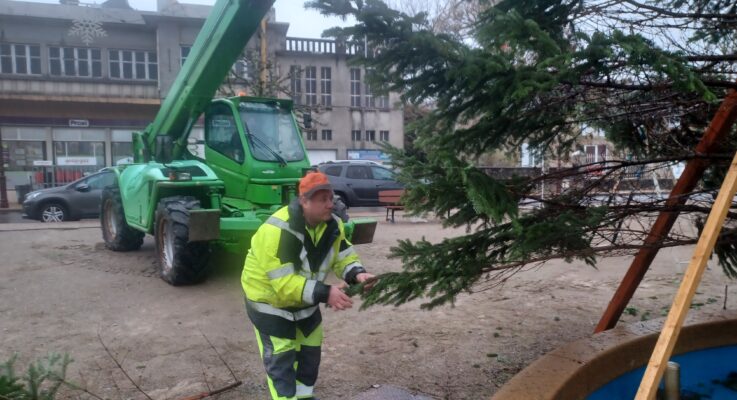 Mon beau sapin….
