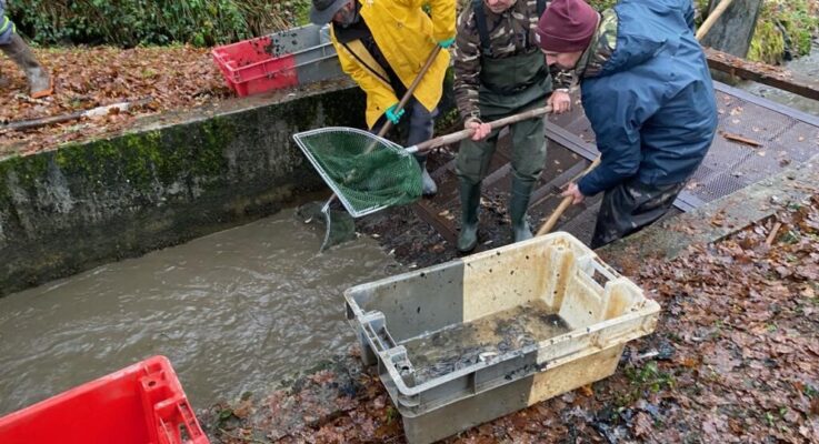la belle vidange du plan d4eau de Nouailhas